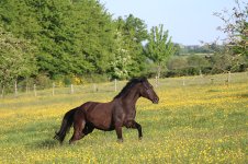 IMG_6148 copie.JPG