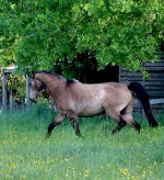 IMG_6160 copie.JPG