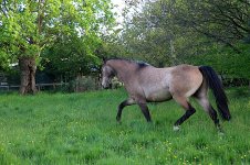 IMG_6195 copie.JPG