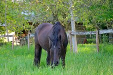 IMG_6197 copie.JPG