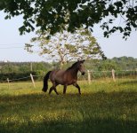 IMG_6202 copie.JPG