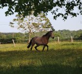 IMG_6204 copie.JPG