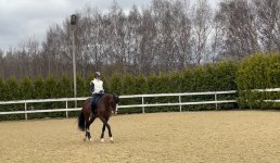 image_123650291 (6).JPG