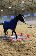 image_123650291 (9).JPG