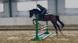 image_123650291 (10).JPG