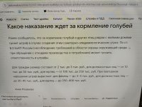 IMG_20260422_195911.jpg