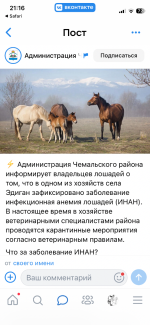 IMG_9942.png