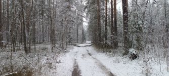 1000107332.jpg