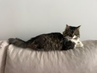 IMG_1778.jpeg