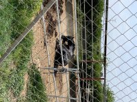 IMG_1771.jpeg