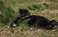 IMG_1972.jpg
