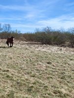 IMG_20260425_112036.jpg