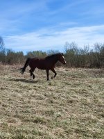 IMG_20260425_112024.jpg