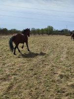 IMG_20260425_112040.jpg