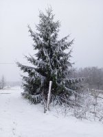IMG_20260426_121215_674.jpg