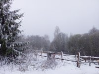 IMG_20260426_121219_997.jpg