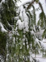 IMG_20260426_121256_565.jpg