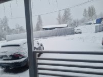 20260427_063536.jpg