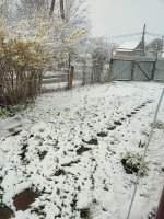 IMG_20260427_064954.jpg