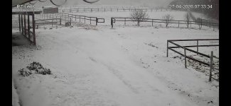 IMG_9894.jpeg