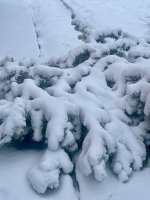 IMG_9885.jpeg
