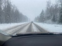 IMG_7510.jpeg