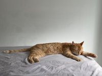 IMG_1853.jpeg