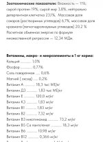 IMG_2052.jpeg
