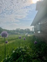 IMG_1143.jpeg