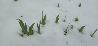 IMG_20260428_154054.jpg