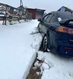 IMG_8385.jpeg