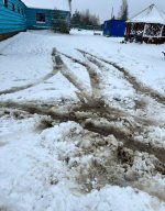 IMG_8387.jpeg