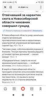 Screenshot_2026-04-29-20-04-30-660_ru.yandex.searchplugin.jpg