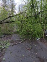 IMG_20260429_194136.jpg