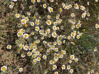 IMG_1969.jpeg