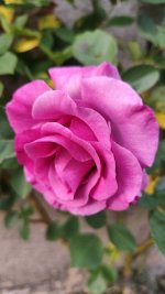 IMG_20260430_203829.jpg