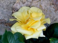 IMG_6265 copie.JPG
