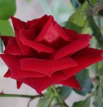IMG_6275 copie.JPG