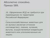 IMG_8403.jpeg