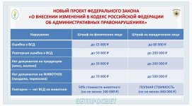 IMG_8404.jpeg