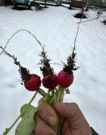 IMG_8408.jpeg