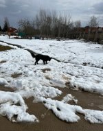 IMG_8410.jpeg