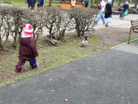 IMG_20260501_122522.jpg