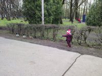IMG_20260501_122605.jpg