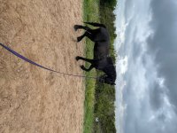 IMG_2006.jpeg