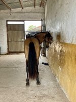 IMG_1997.jpeg