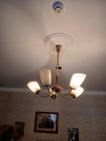 20260418_130324.jpg