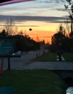 IMG_8426.jpeg