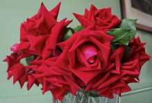 IMG_6281 copie.JPG