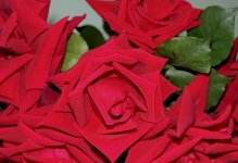 IMG_6285 copie.JPG